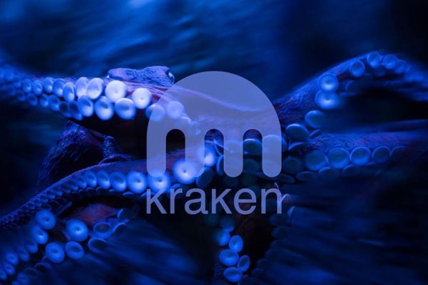 Kraken наркотики