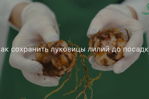 Зайти в кракен
