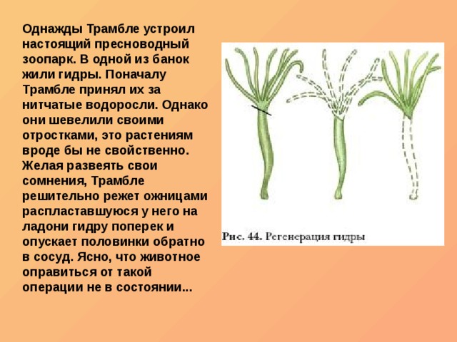 Ошибка на кракене